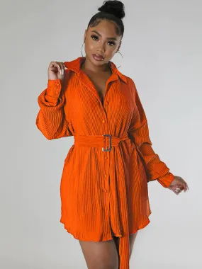 Long Sleeve Ribbed Mini Shirt Dresses